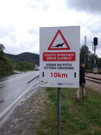 Watch out for otters on your way to Virpazar!