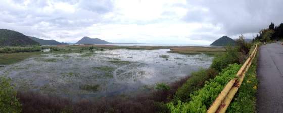 View of Skadar Lake from the edge of Virpazar